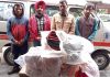 30 गर्म कंबल का सहयोग