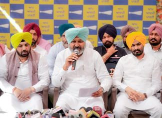 आप का आरोप, भाजपा पंजाब में पिछले दरवाजे से सत्ता पाने की कोशिश कर रही